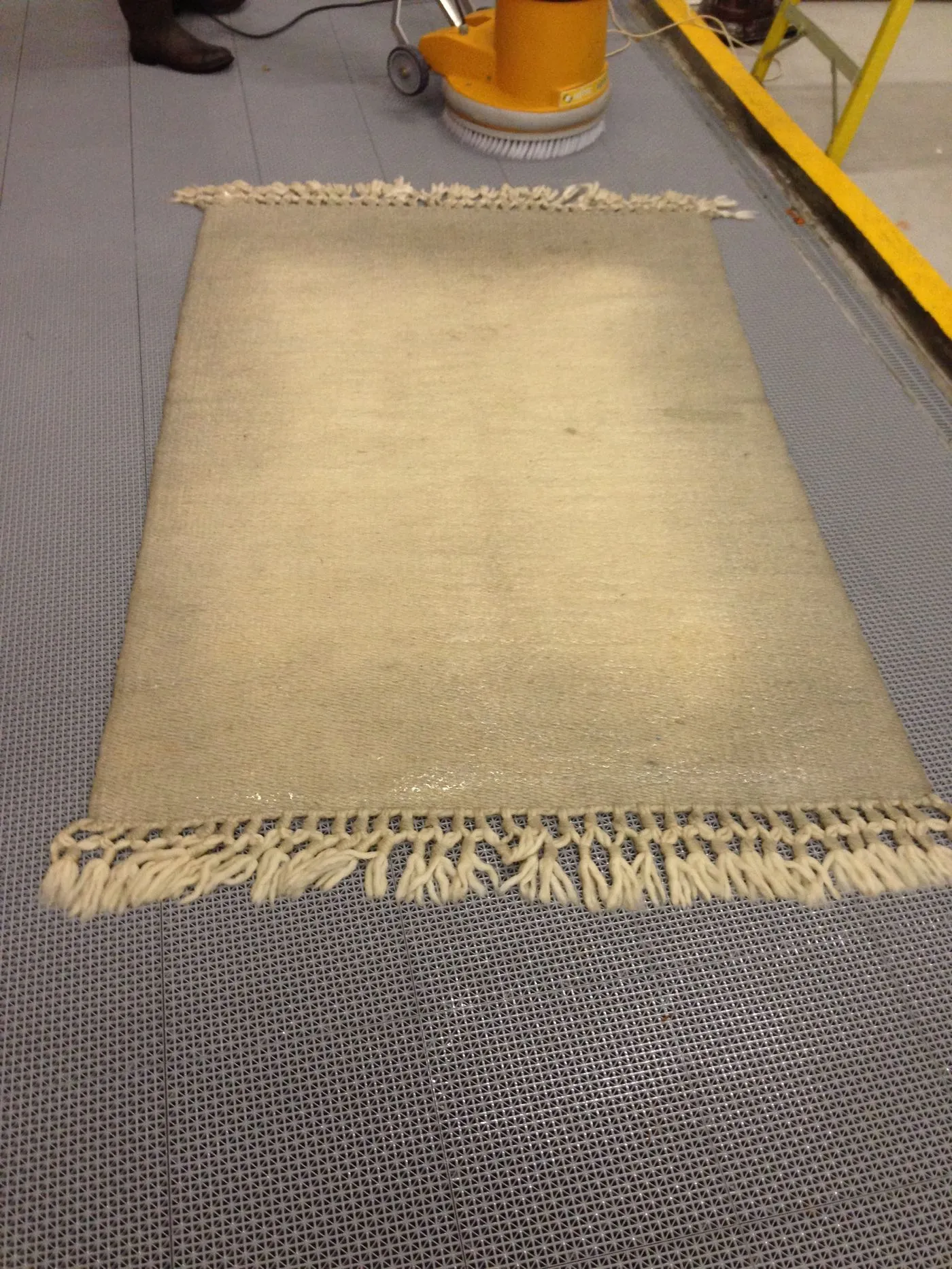 A freshly washed wool rug laid out flat to dry after its bath